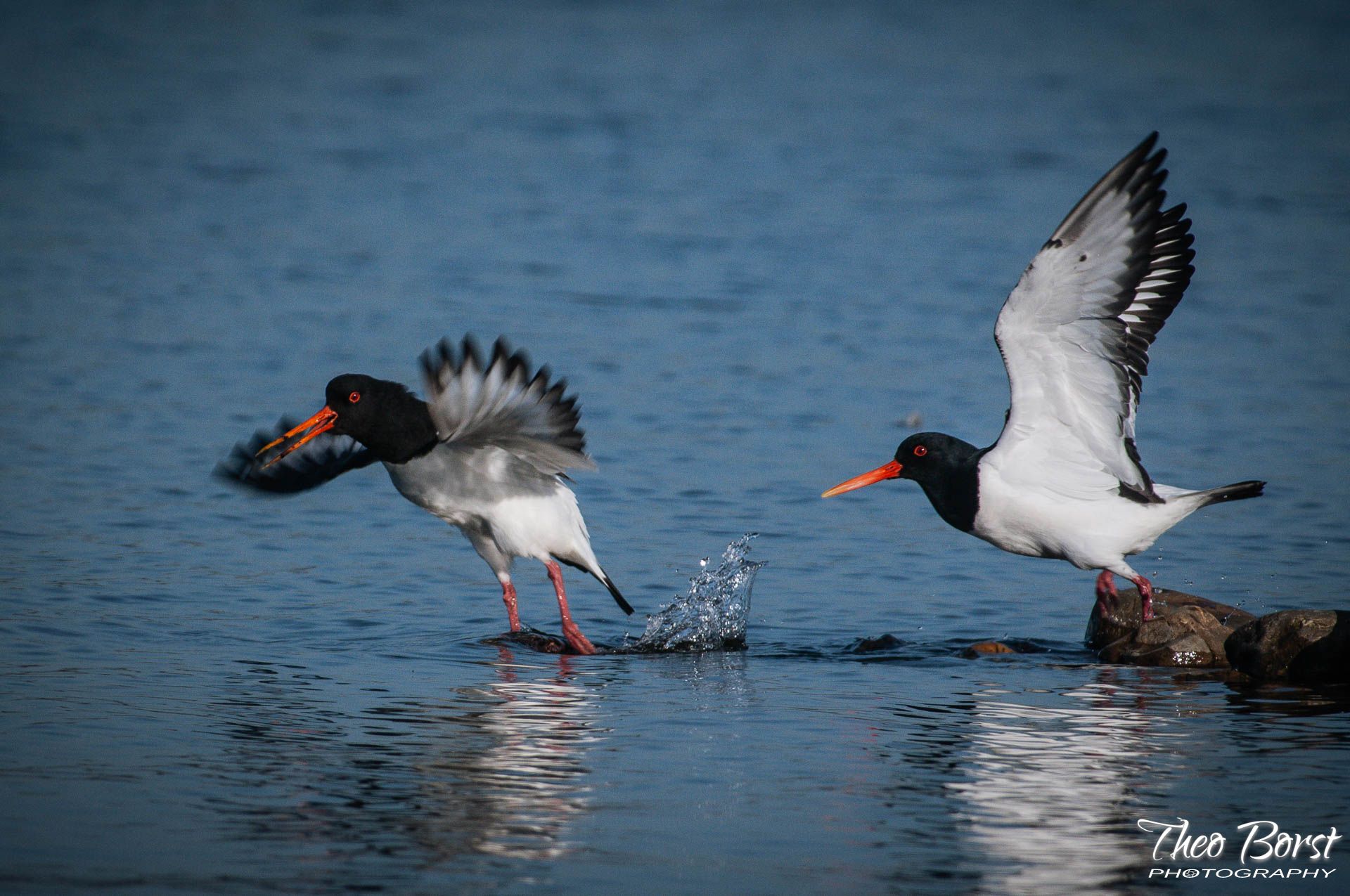 DSC5055-LR.jpg