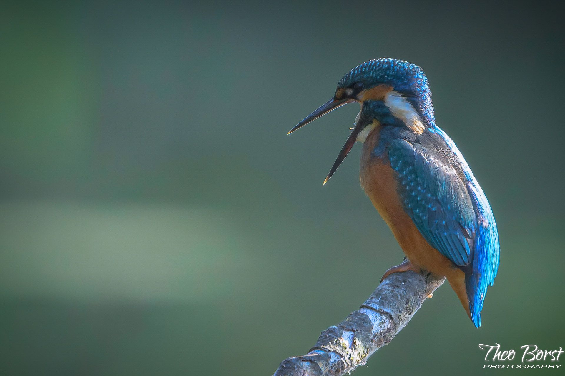 DSC_5103-LR.jpg