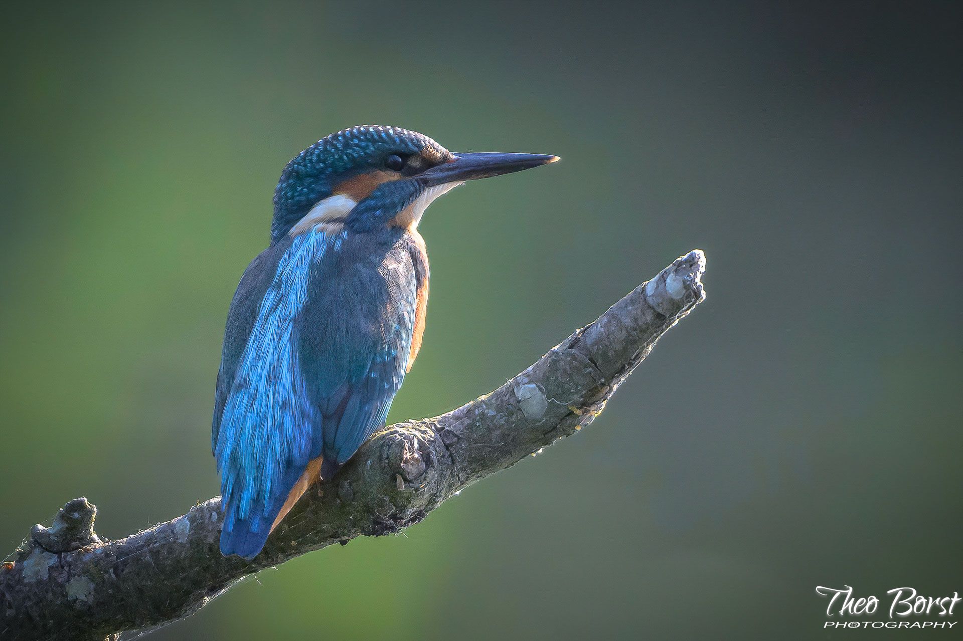 DSC_5219-LR.jpg
