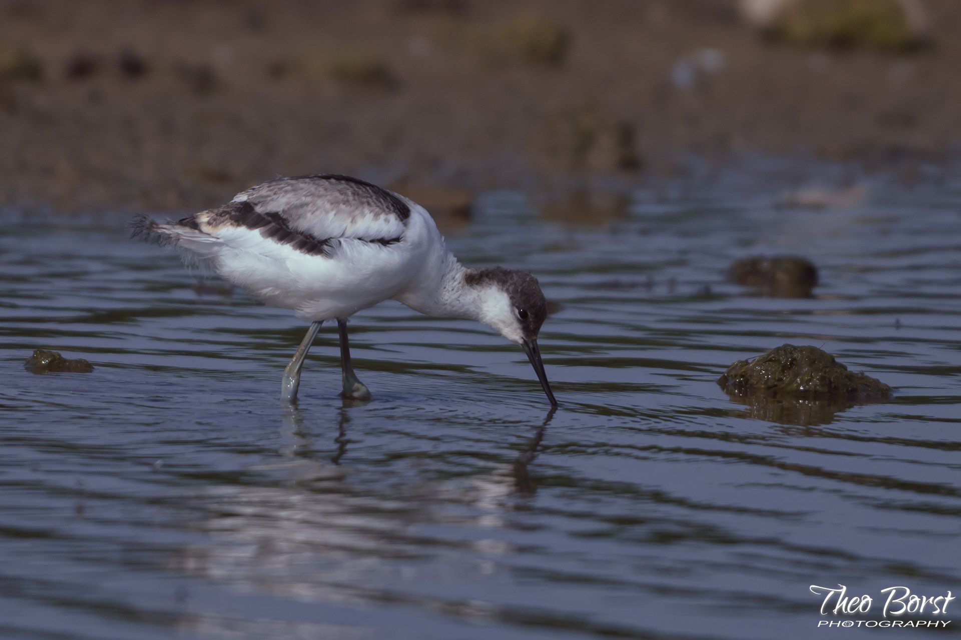 DSC_5958-LR.jpg